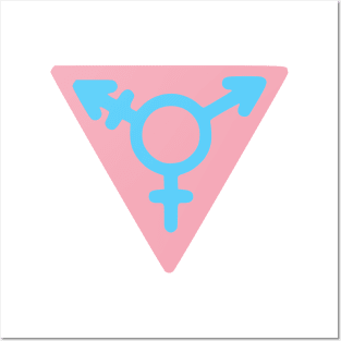 Pride Flag Color Variant of Nangeroni Trans Community Symbol Posters and Art